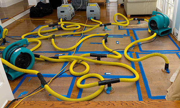 Professional Crawl Space Water Removal technician working in Kerby, OR
